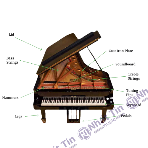 Piano cơ chi phí cao hơn so với piano điện