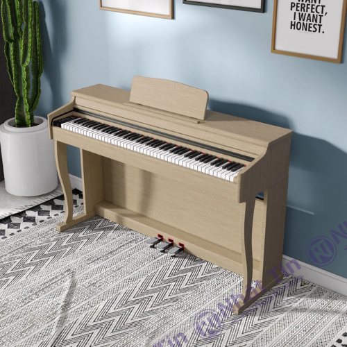 Màu sắc và bề mặt piano phản chiếu ánh sáng làm nổi bật không gian