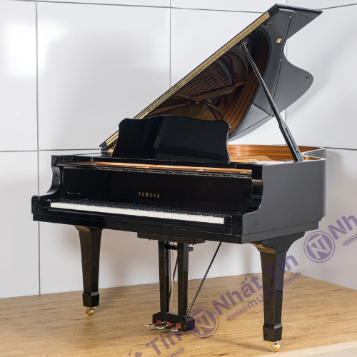 Piano cơ đỉnh cao âm nhạc trong trẻo