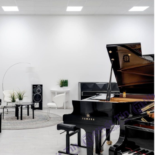 Piano màu đen giúp tôn lên vẻ đẹp của piano và tạo sự tương phản